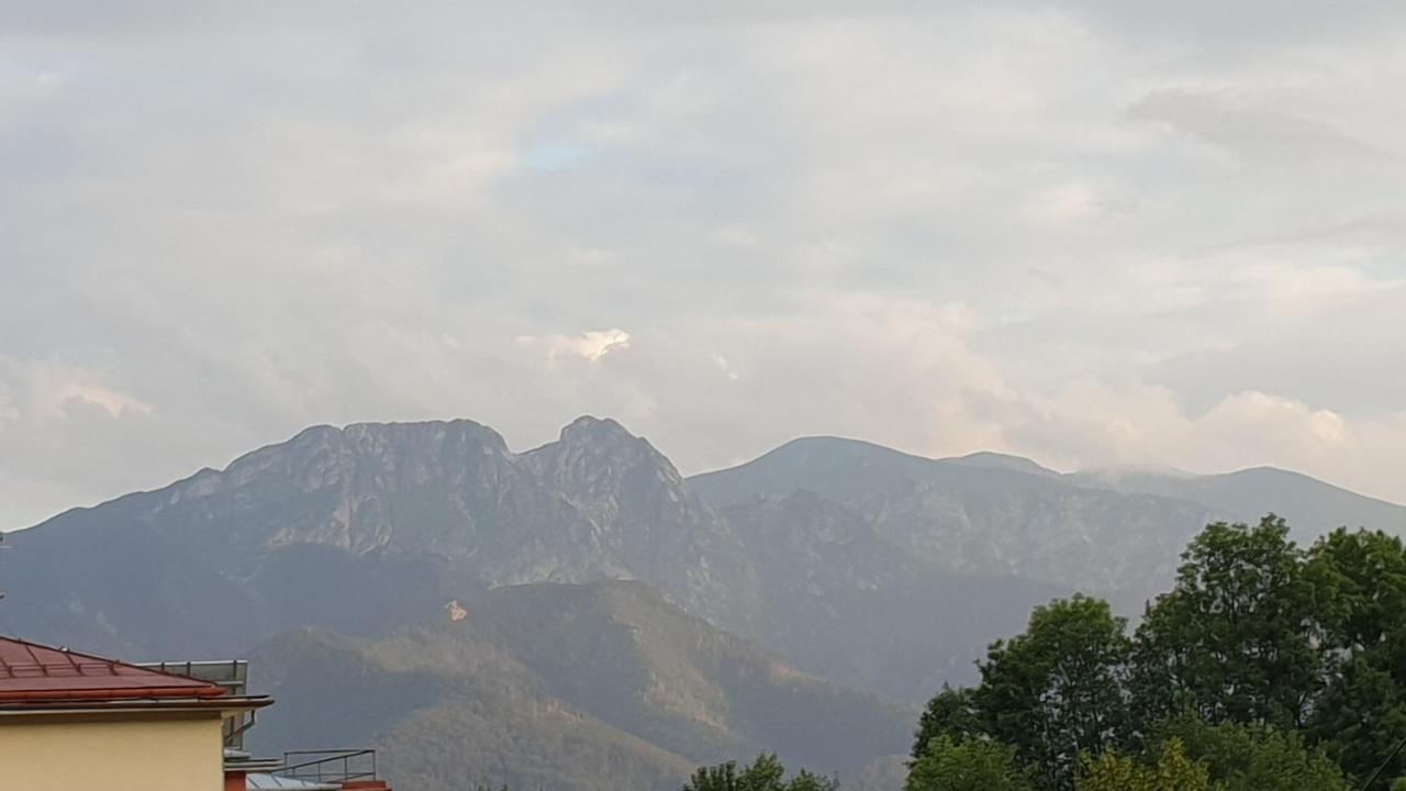 Villa Fortuna - Regionalne Apartamenty & Spa - Sauna, Grill, Jacuzzi Z Widokiem Na Tatry Zakopane Exteriér fotografie
