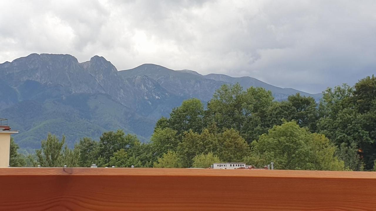 Villa Fortuna - Regionalne Apartamenty & Spa - Sauna, Grill, Jacuzzi Z Widokiem Na Tatry Zakopane Exteriér fotografie